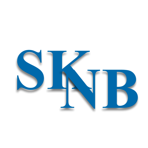 SKNB Csoport logó